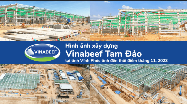 Jobs at Công Ty TNHH Chăn Nuôi Việt Nhật - Công Ty Thành Viên Của Vinamilk