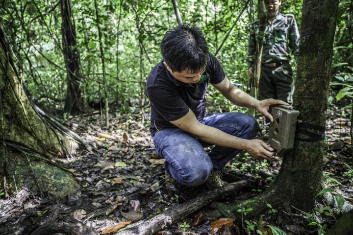 Jobs at Save Vietnam’S Wildlife
